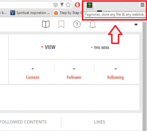 Add Extension of Tagmmer on your Browser